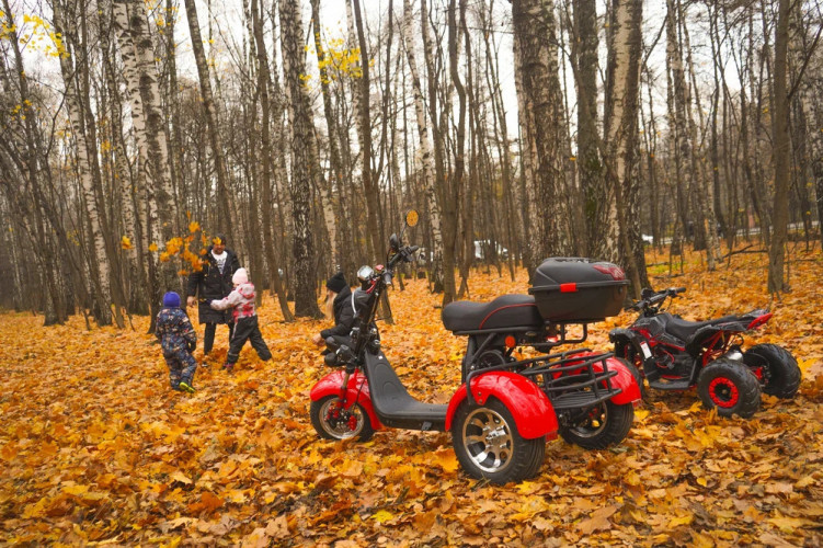 Электроскутер White Siberia PRO TRIKE 3000W в Волгограде