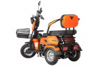 Электротрицикл Rutrike Gelbert Caf в Волгограде