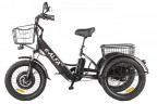 Электрофэтбайк Eltreco Green City e-ALFA Trike в Волгограде