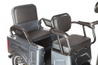 Пассажирский электротрицикл Rutrike Gelbert Tuban в Волгограде