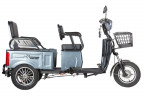 Пассажирский электротрицикл Rutrike Gelbert Tuban в Волгограде