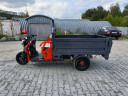 Грузовой электрический трицикл Pаntеrа Гидрaвлика 75V1500W в Волгограде